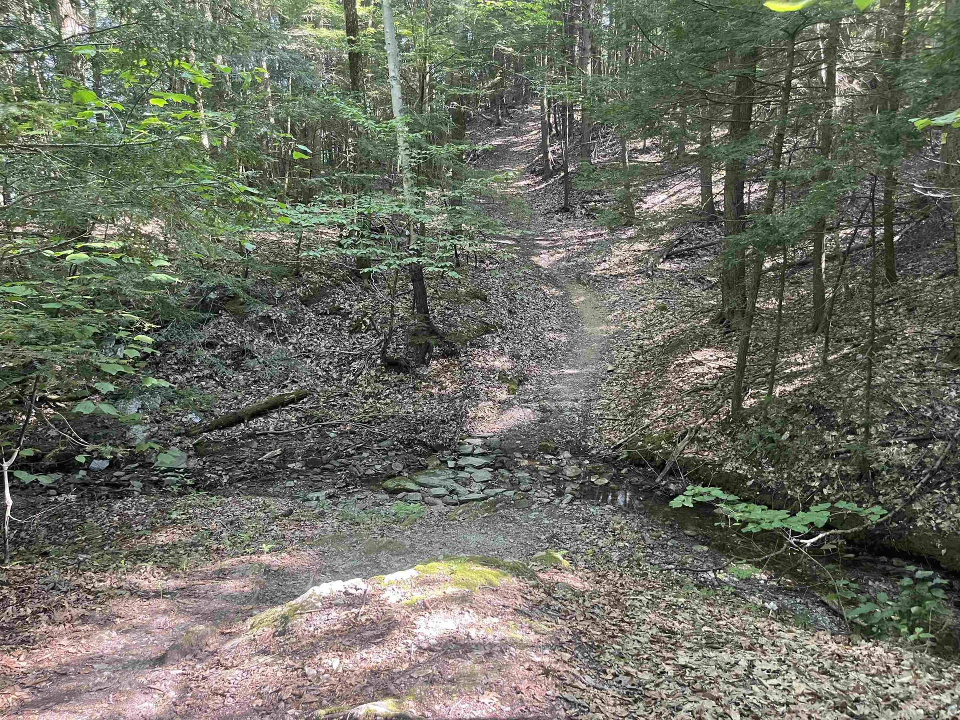 1435 Ferncliff Road Extension Poultney VT 05764