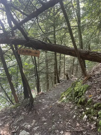 1435 Ferncliff Road Extension Poultney VT 05764