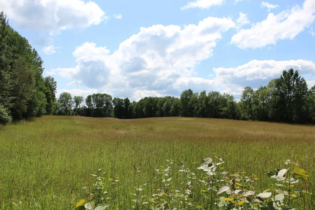 3091 Baptist Street Williamstown VT 05679