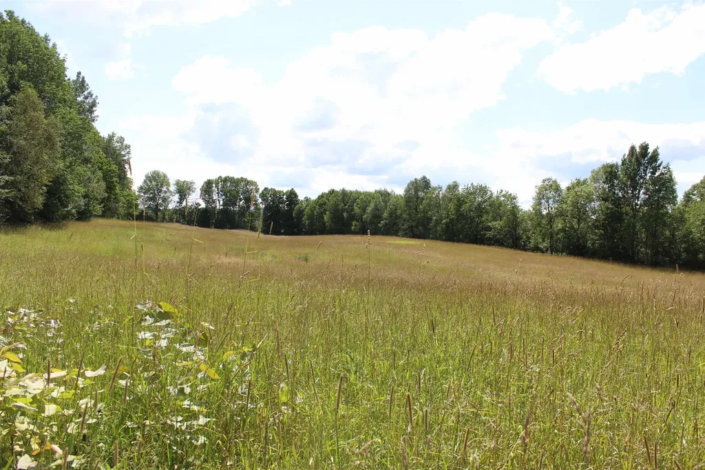 3091 Baptist Street Williamstown VT 05679