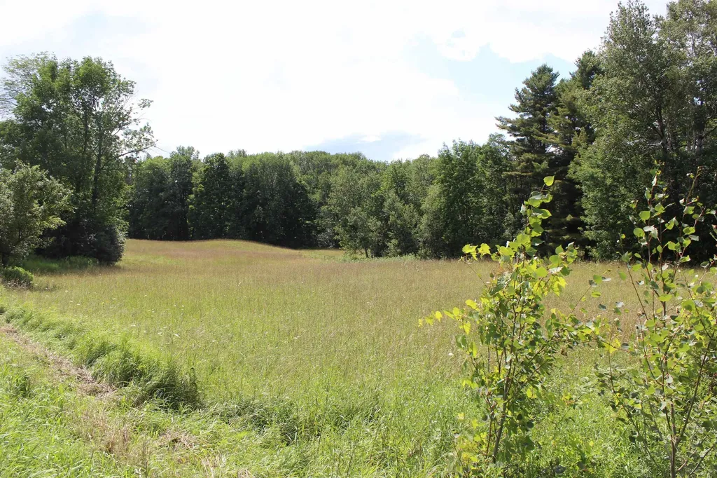 3091 Baptist Street Williamstown VT 05679