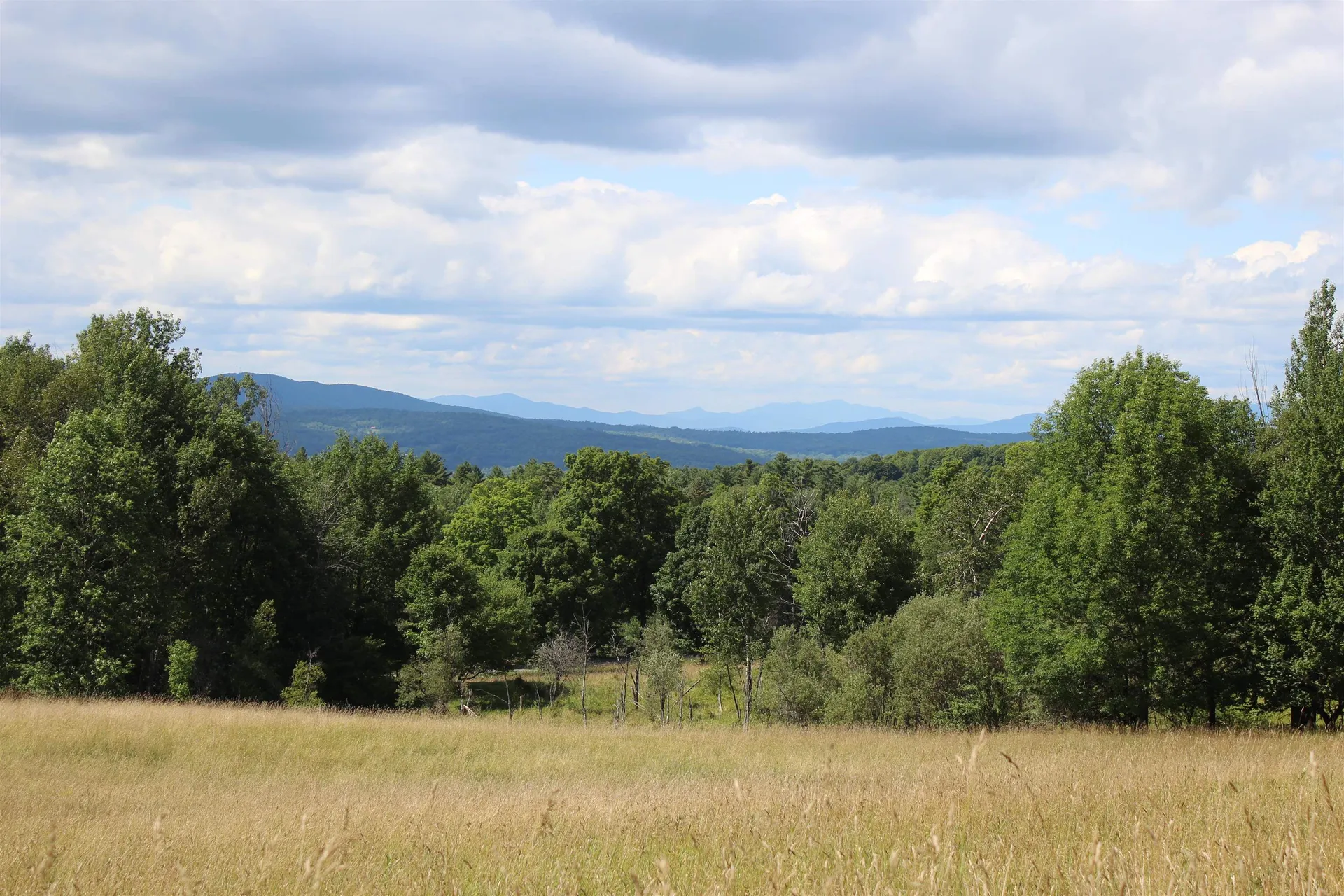 3091 Baptist Street Williamstown VT 05679