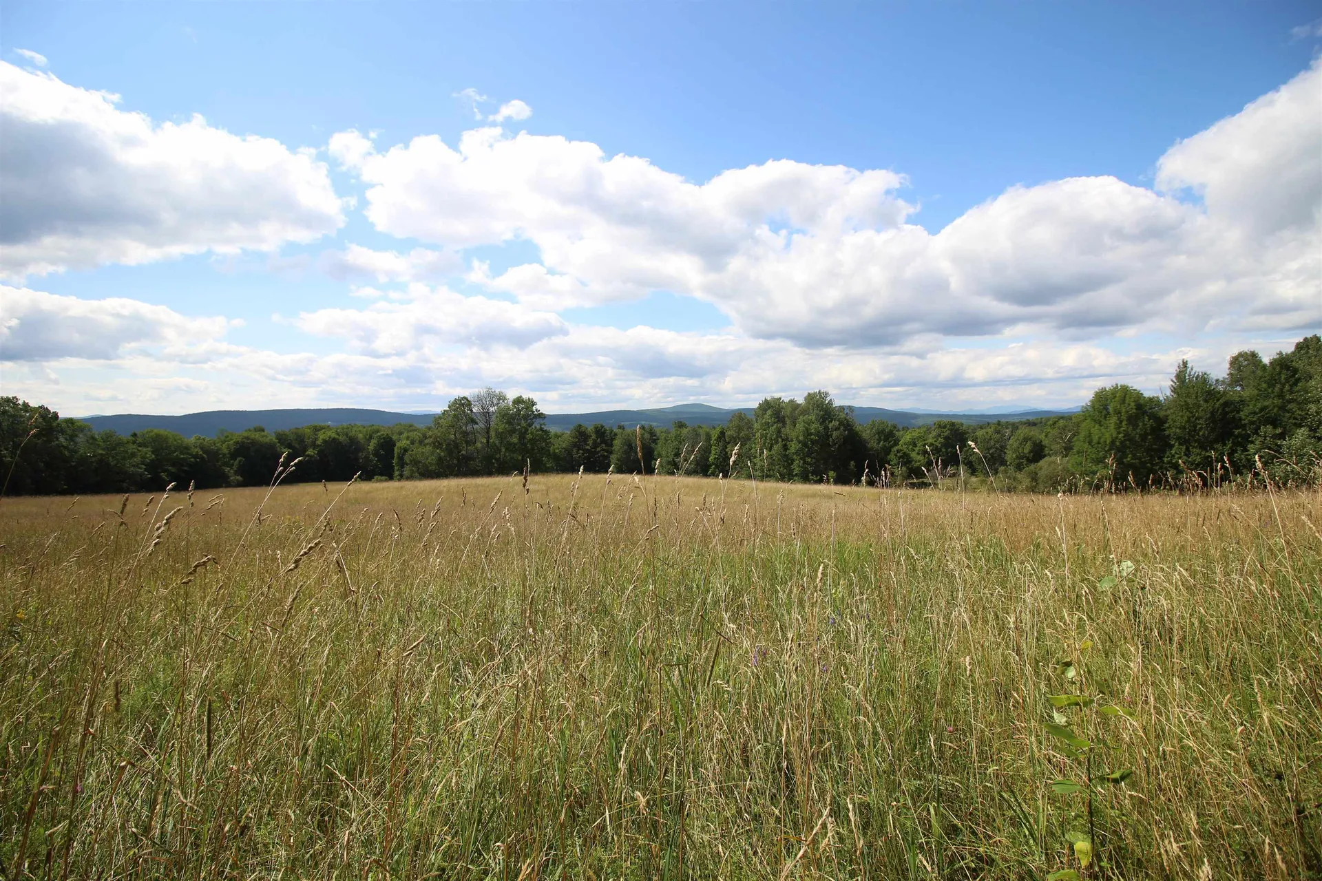 3091 Baptist Street Williamstown VT 05679