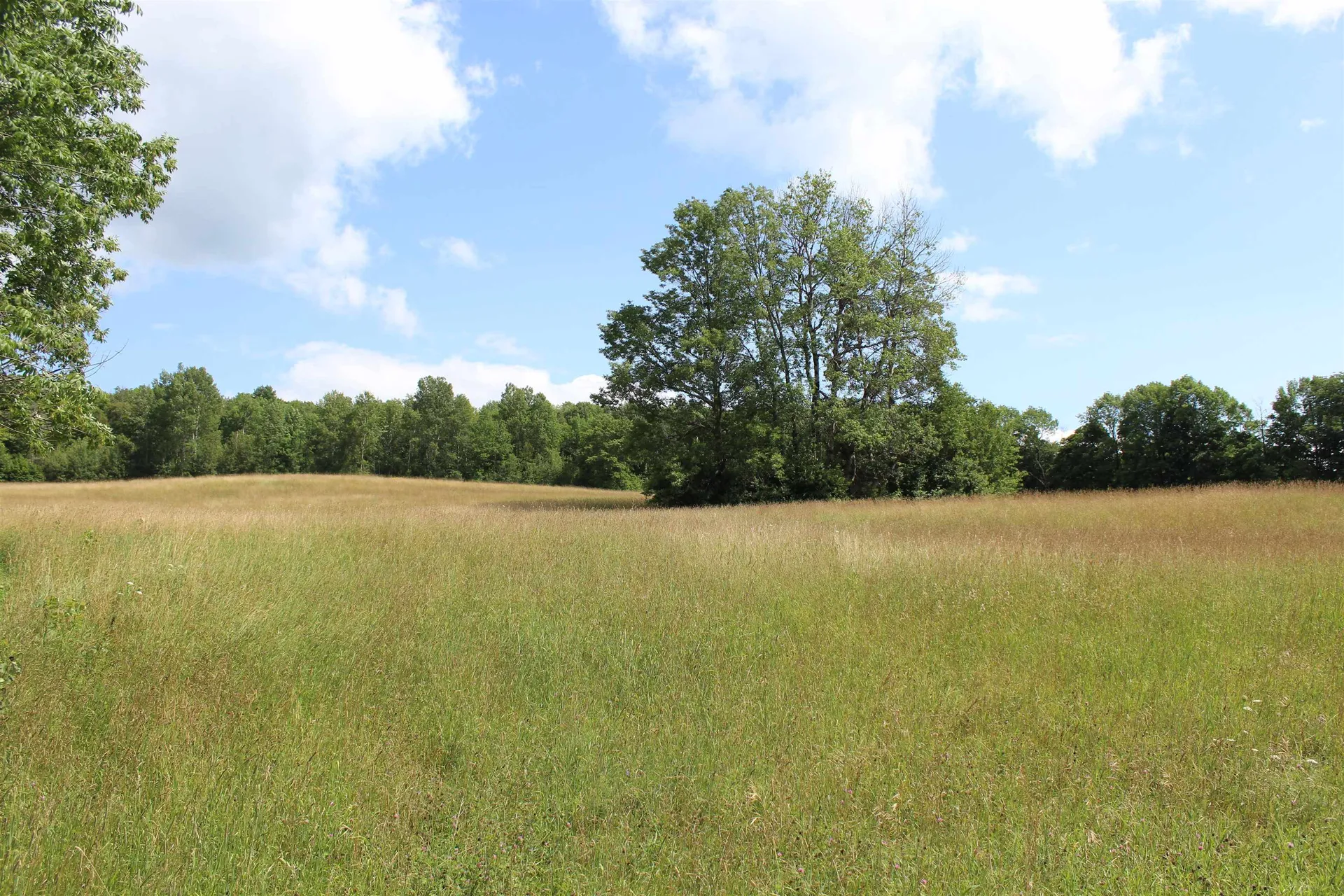 3091 Baptist Street Williamstown VT 05679