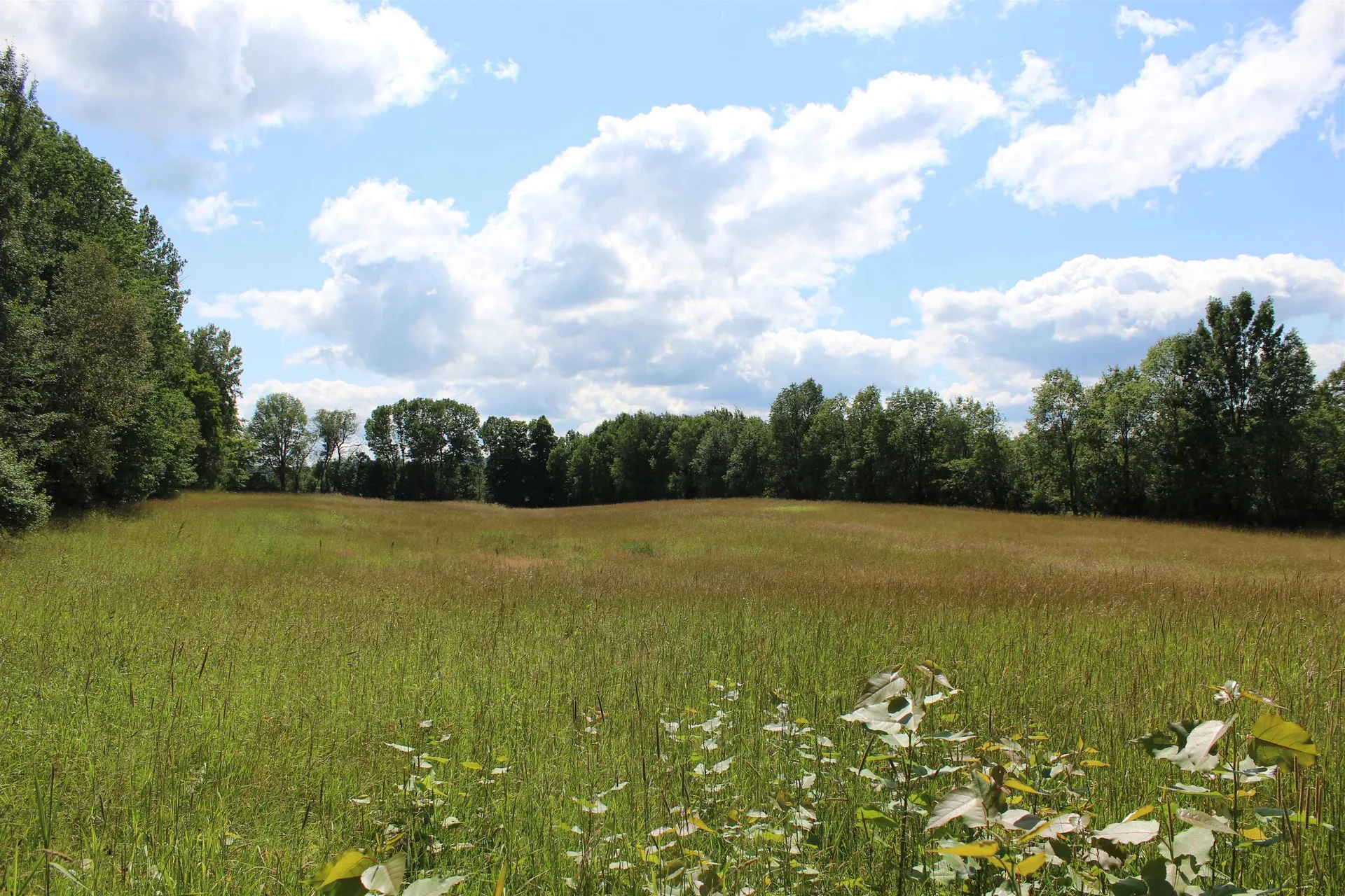 3091 Baptist Street Williamstown VT 05679