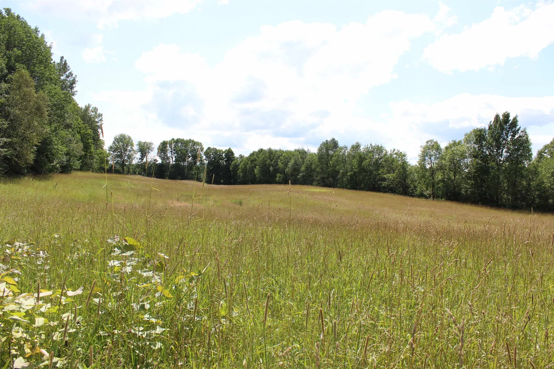 3091 Baptist Street Williamstown VT 05679