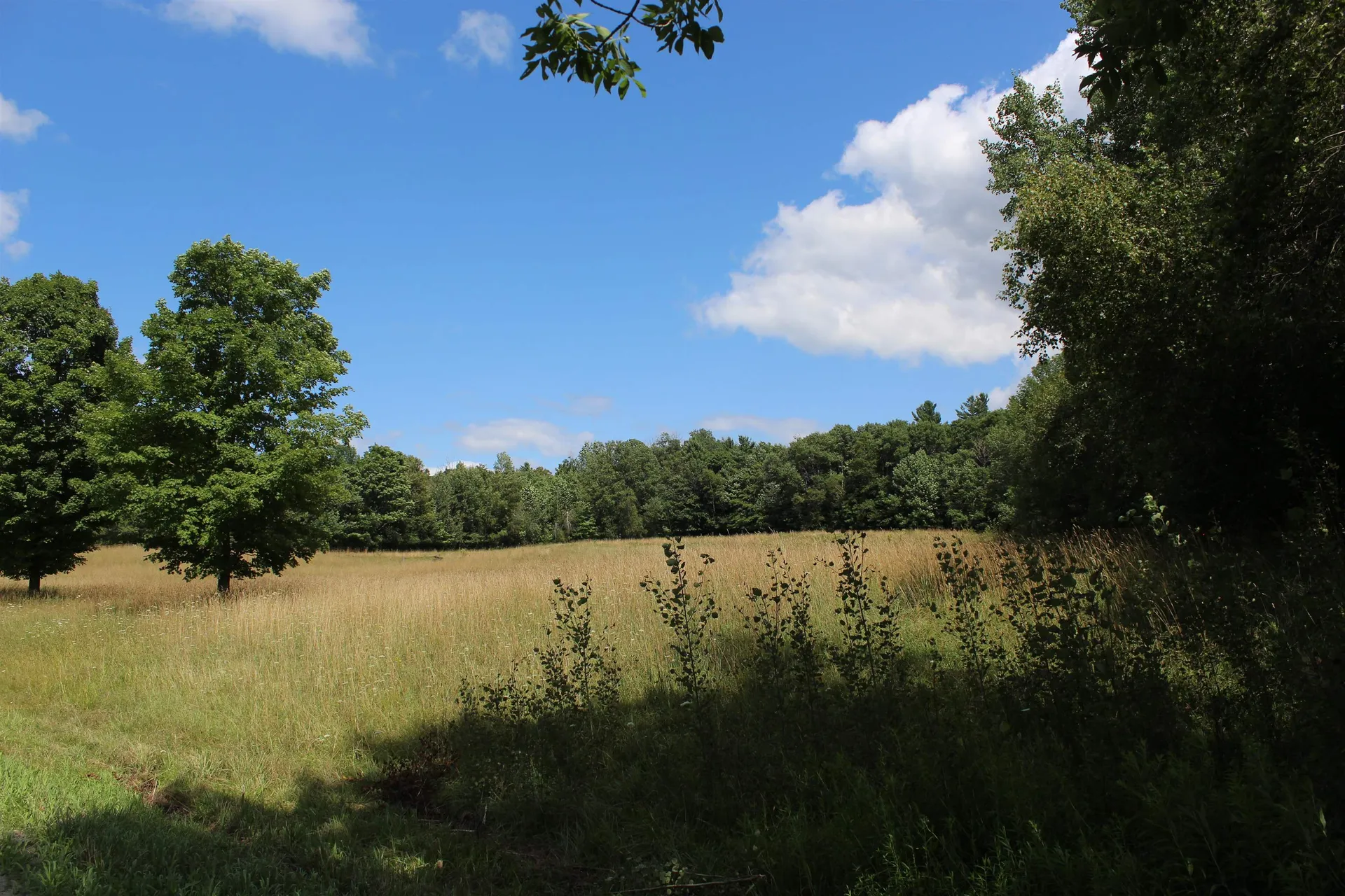 3091 Baptist Street Williamstown VT 05679