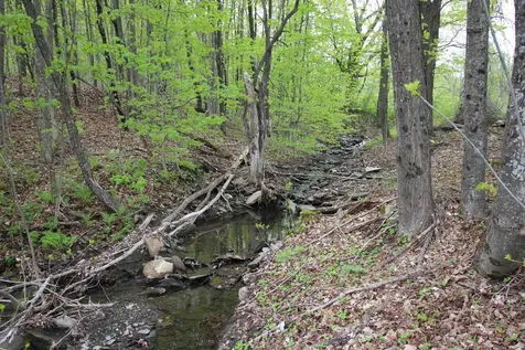 3091 Baptist Street Williamstown VT 05679