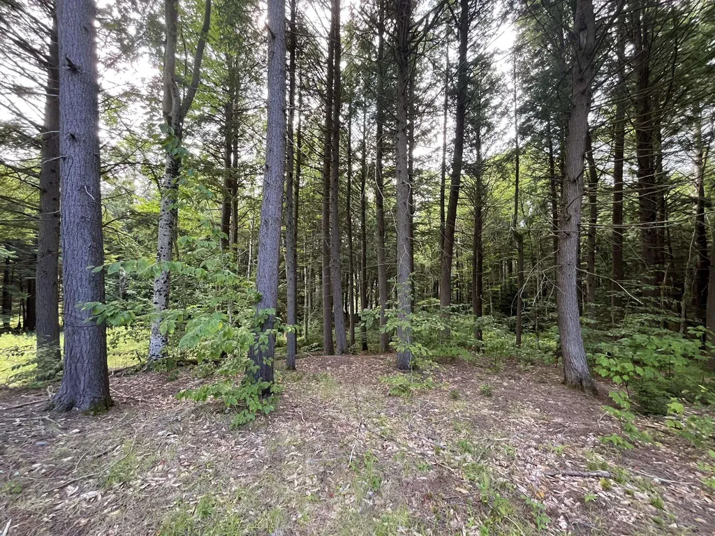 505 Smith Road Halifax VT 05358