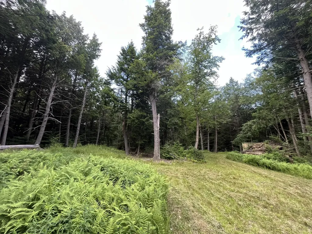 505 Smith Road Halifax VT 05358