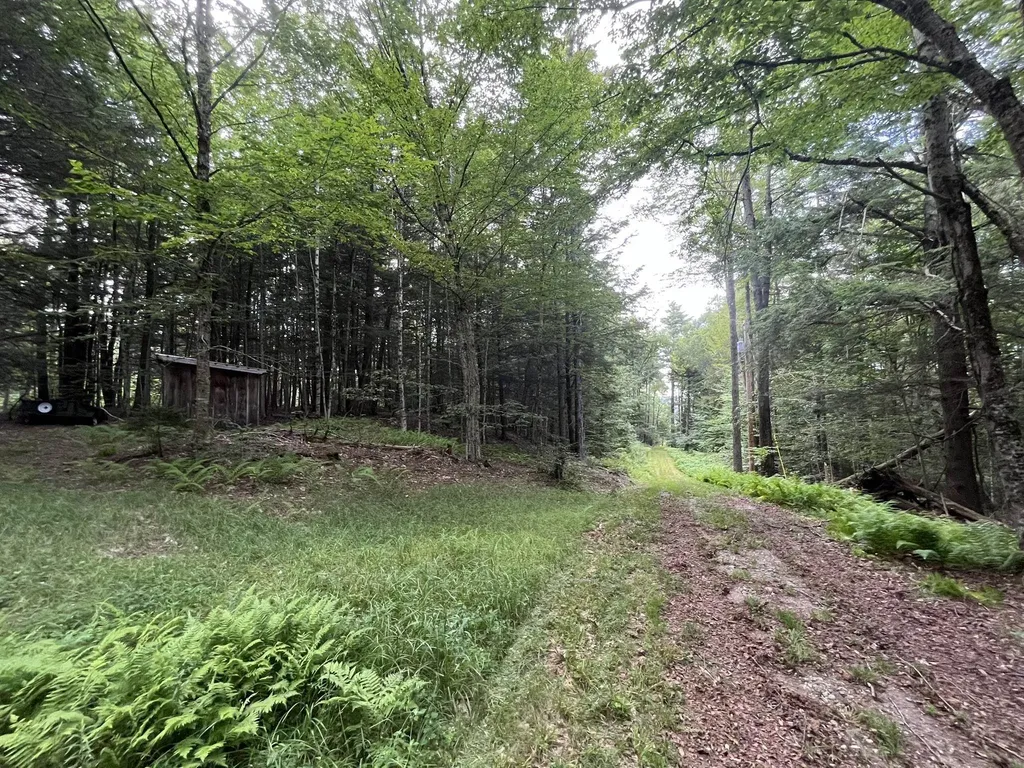 505 Smith Road Halifax VT 05358