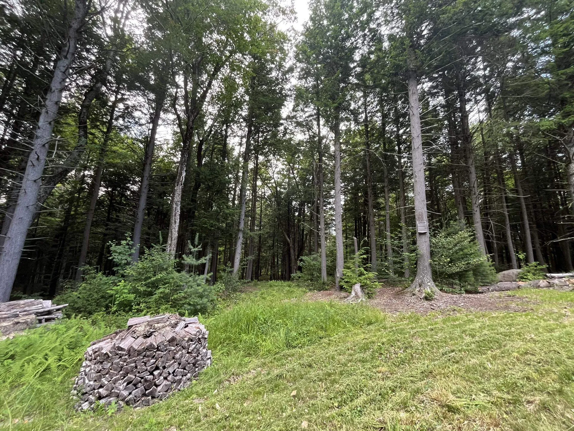 505 Smith Road Halifax VT 05358