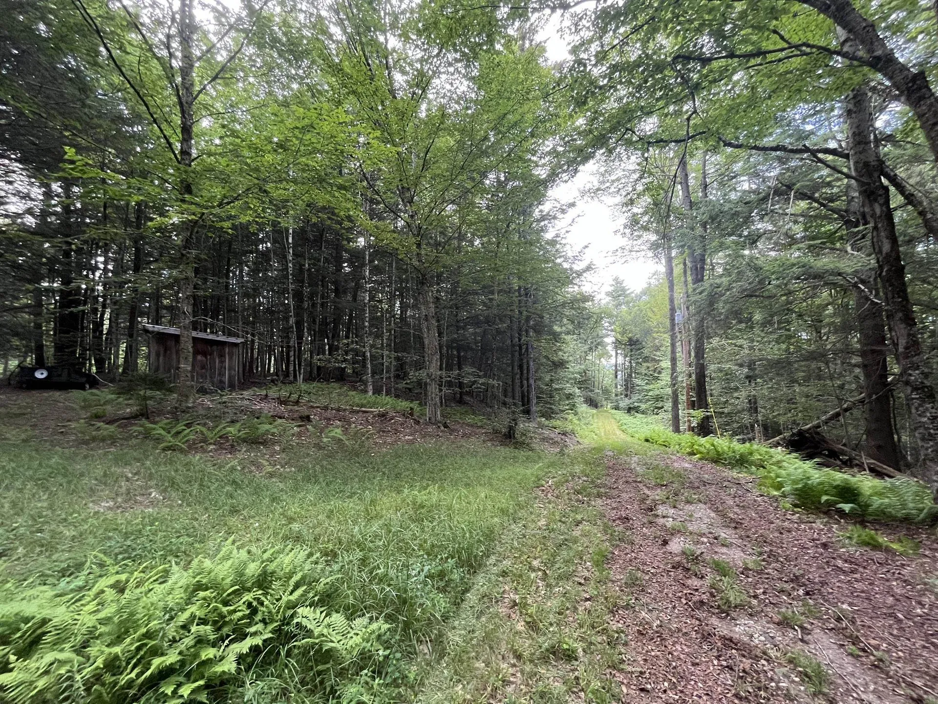 505 Smith Road Halifax VT 05358