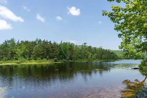 126 Harrison Road Washington NH 03280