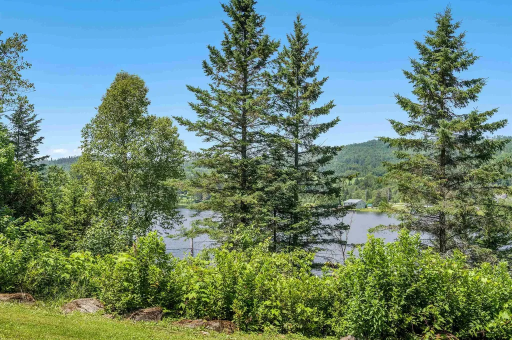 31 Village View Road Danville VT 05828