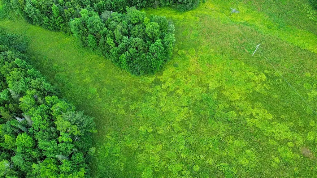 00 Fuller Road Newbury VT 05051