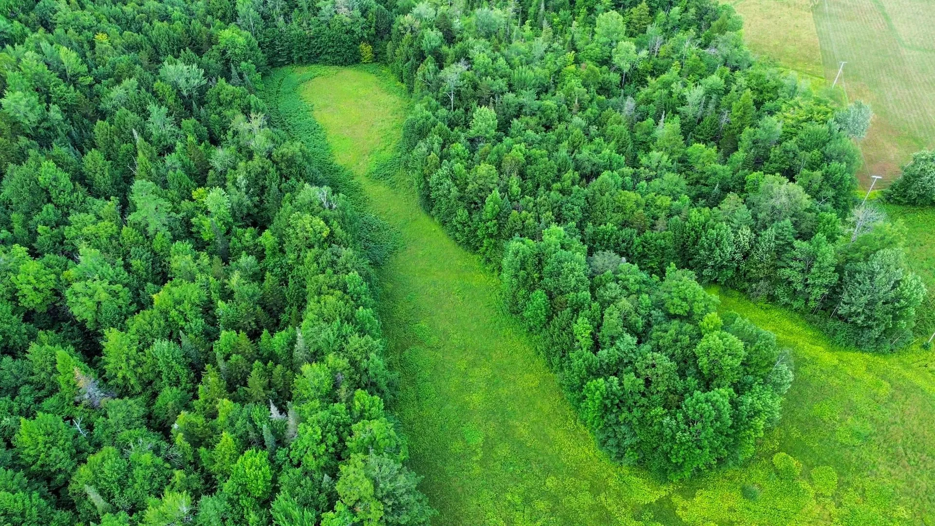 00 Fuller Road Newbury VT 05051