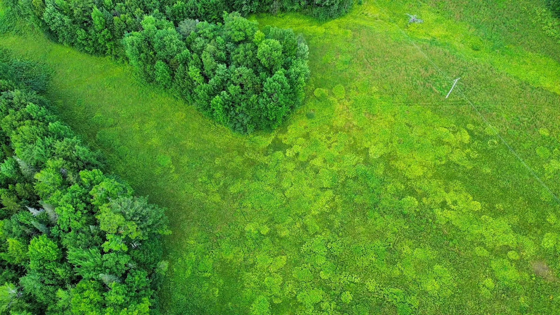 00 Fuller Road Newbury VT 05051