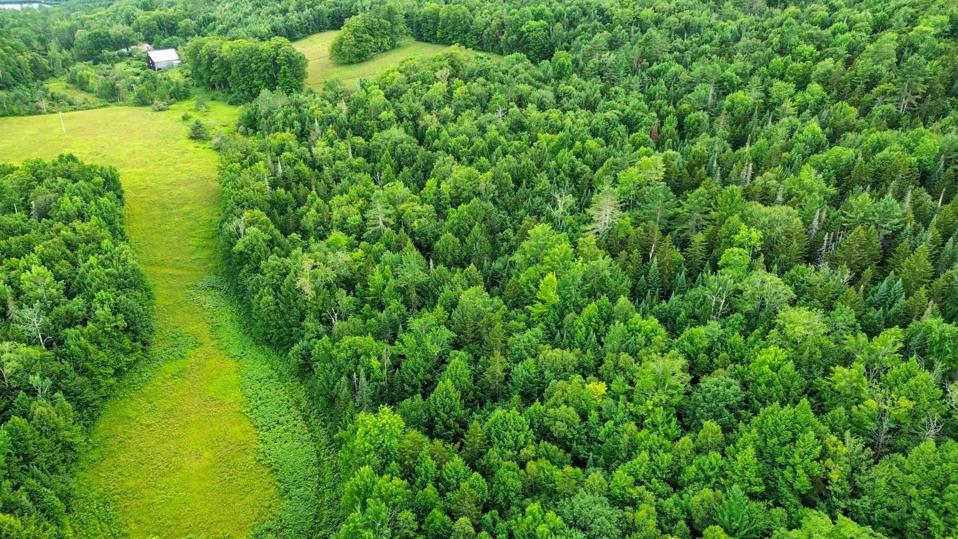 00 Fuller Road Newbury VT 05051