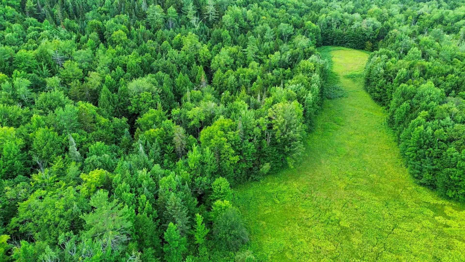 00 Fuller Road Newbury VT 05051