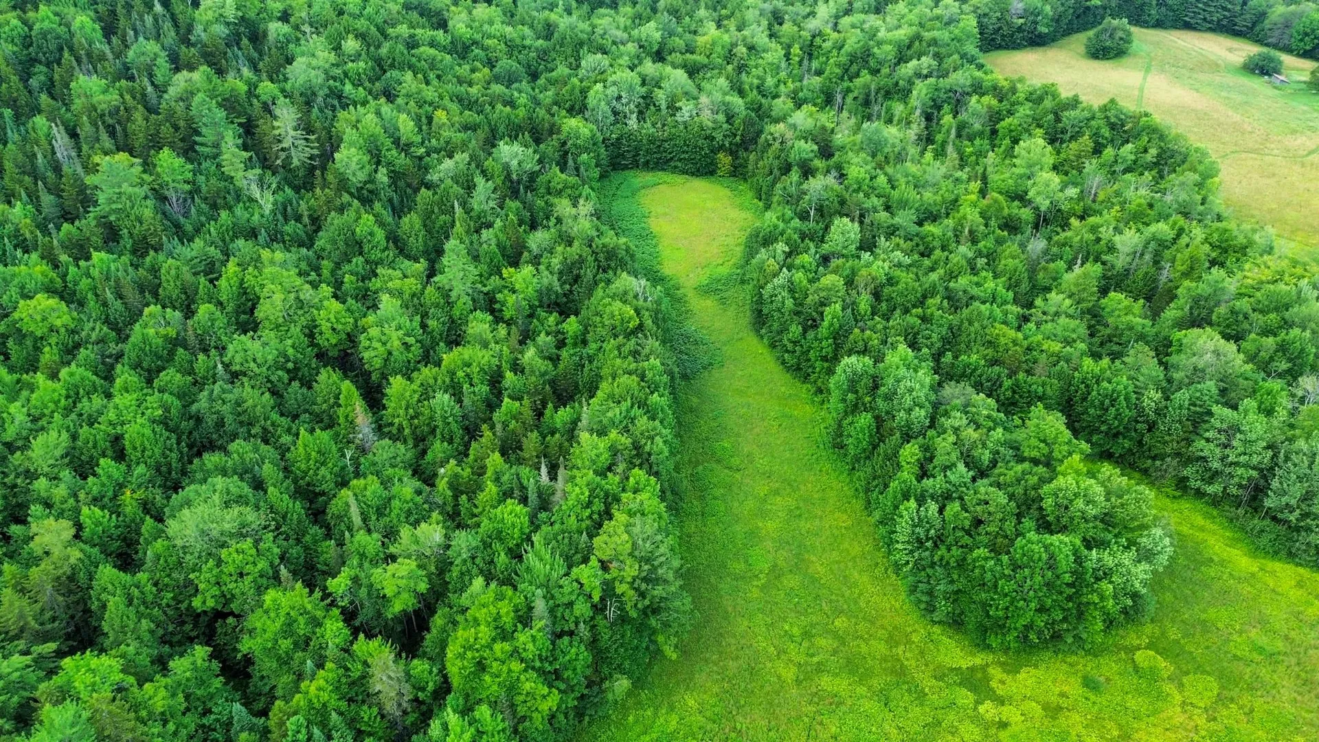 00 Fuller Road Newbury VT 05051