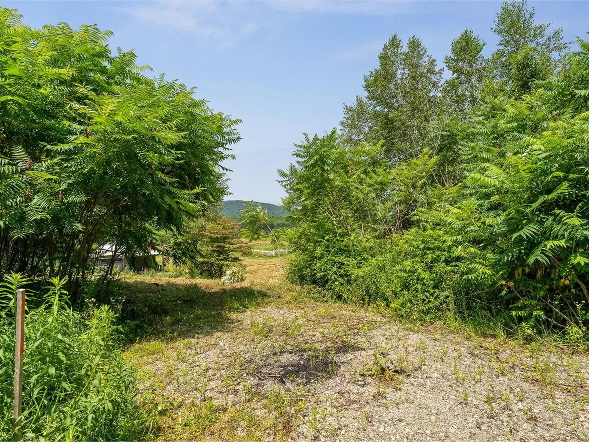 0 Maple Hill Drive Starksboro VT 05487