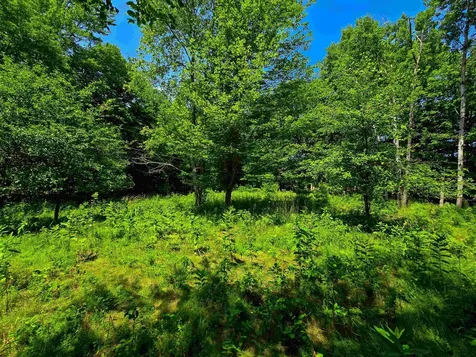 330 Old Stage Coach Road Bradford VT 05033