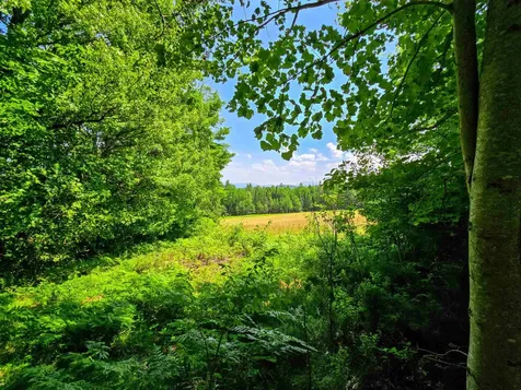 330 Old Stage Coach Road Bradford VT 05033