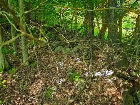 330 Old Stage Coach Road Bradford VT 05033