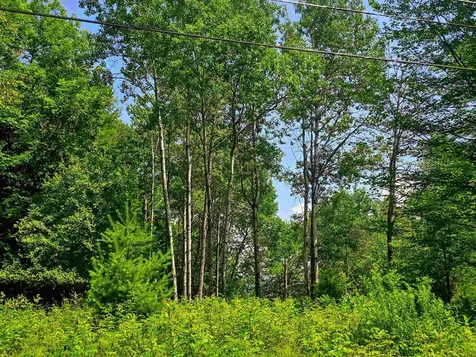 330 Old Stage Coach Road Bradford VT 05033