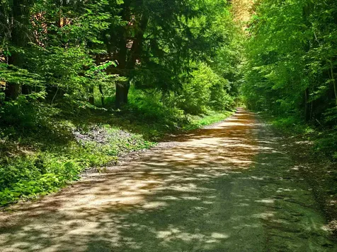 330 Old Stage Coach Road Bradford VT 05033