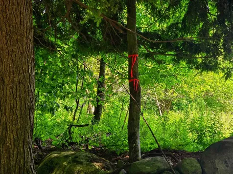 330 Old Stage Coach Road Bradford VT 05033