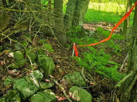 330 Old Stage Coach Road Bradford VT 05033