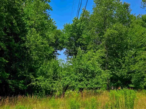 330 Old Stage Coach Road Bradford VT 05033
