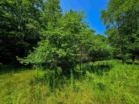 330 Old Stage Coach Road Bradford VT 05033