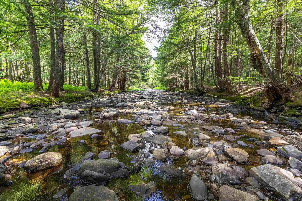452 Sherwood Forest Londonderry VT 05148
