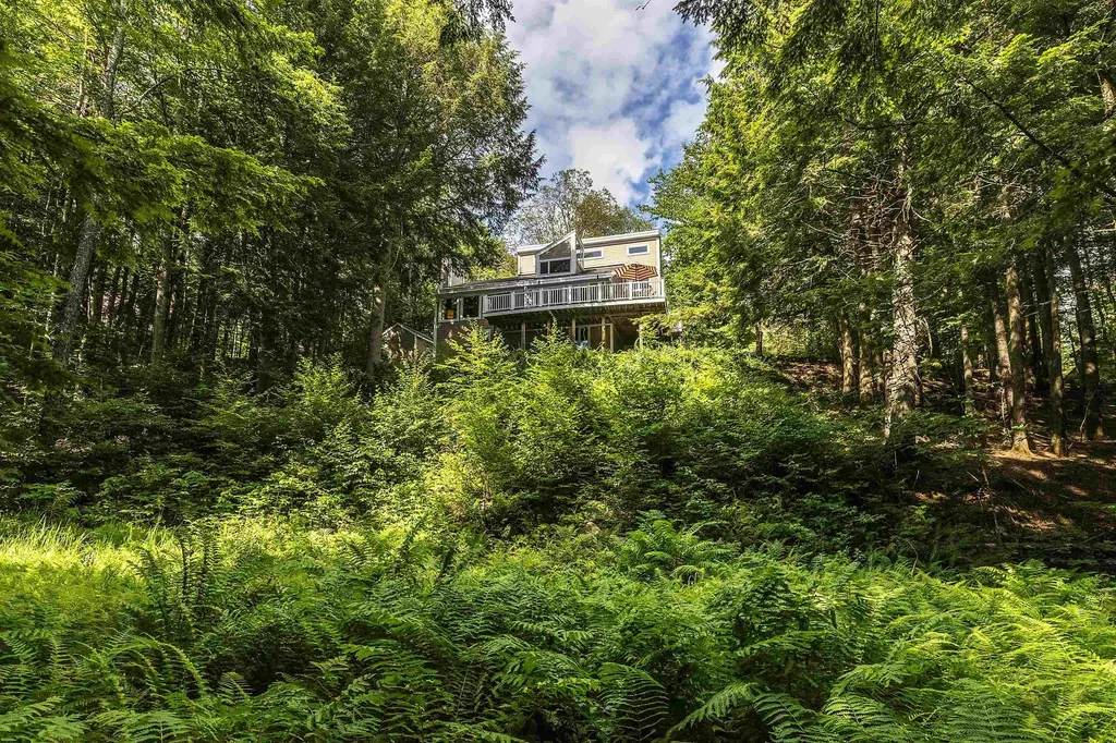452 Sherwood Forest Londonderry VT 05148