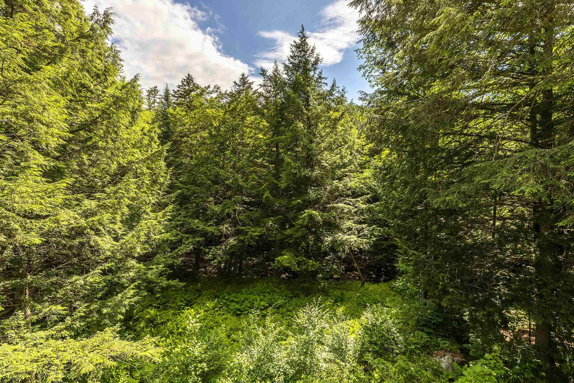 452 Sherwood Forest Londonderry VT 05148
