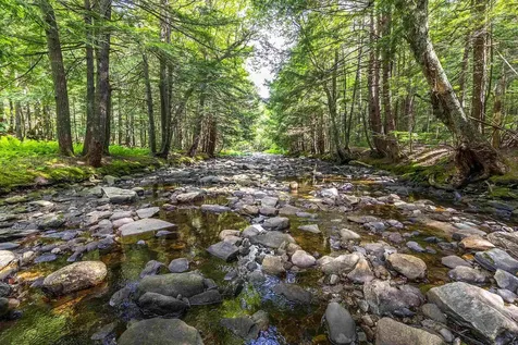 452 Sherwood Forest Londonderry VT 05148