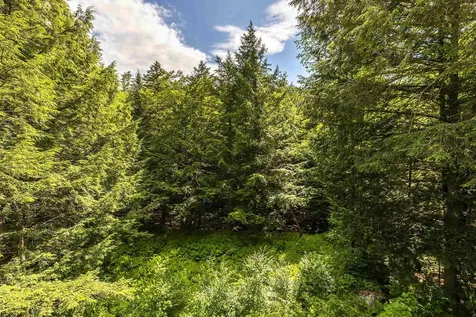 452 Sherwood Forest Londonderry VT 05148