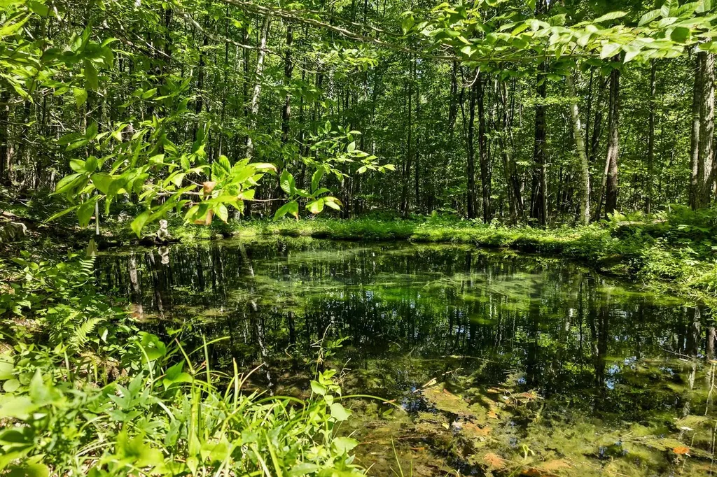 100 Marvin Road Moultonborough NH 03254