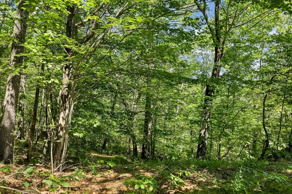 100 Marvin Road Moultonborough NH 03254