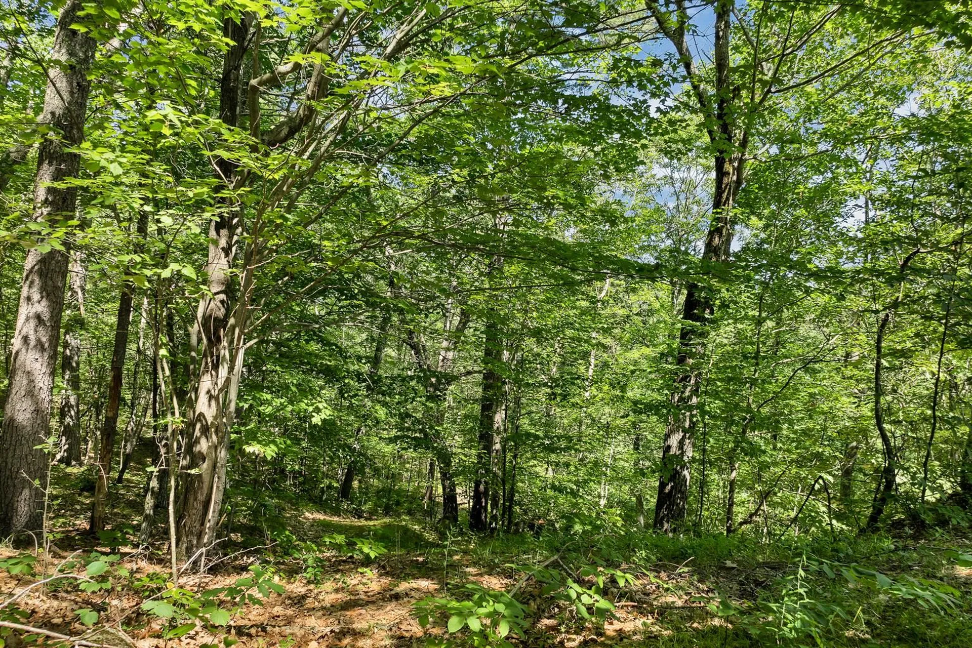 100 Marvin Road Moultonborough NH 03254