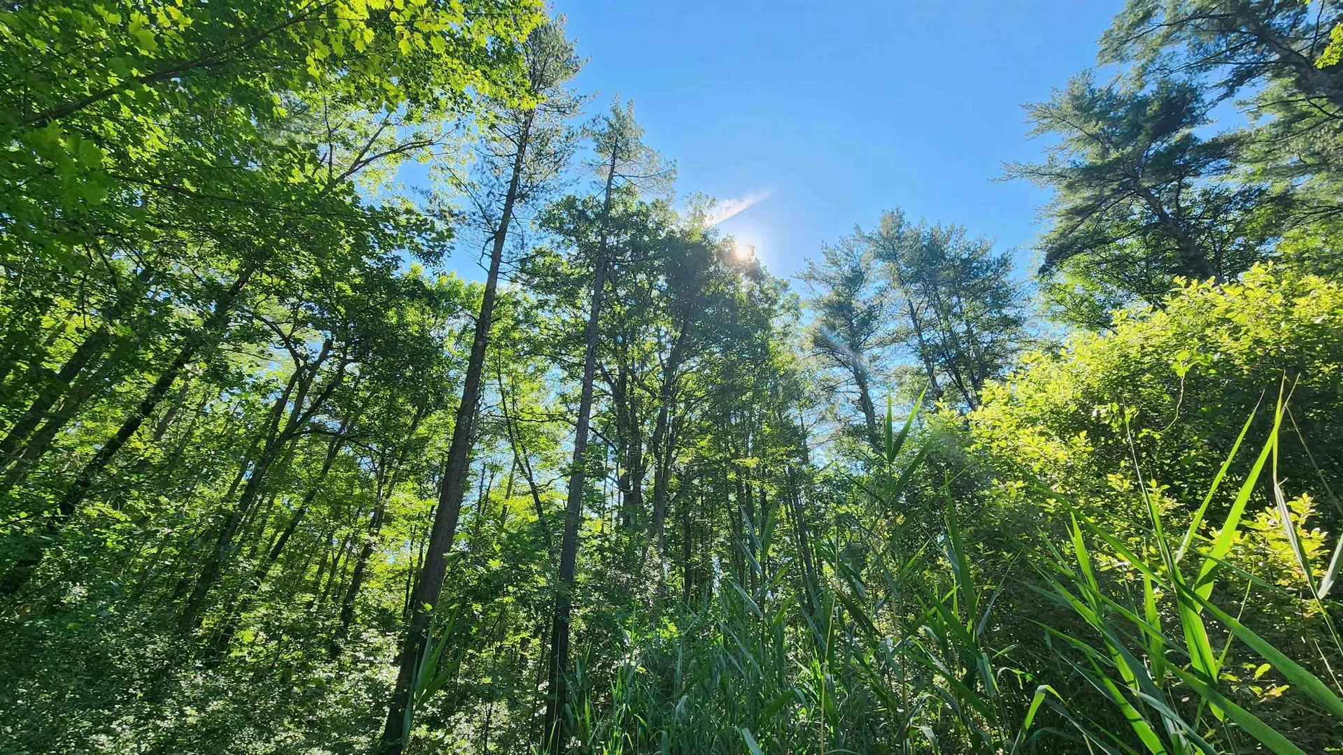 29 Gary Lane Exeter NH 03833