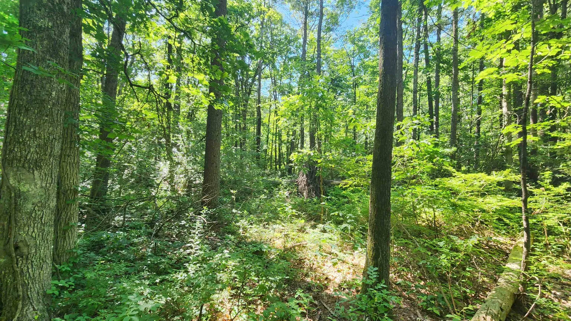 29 Gary Lane Exeter NH 03833