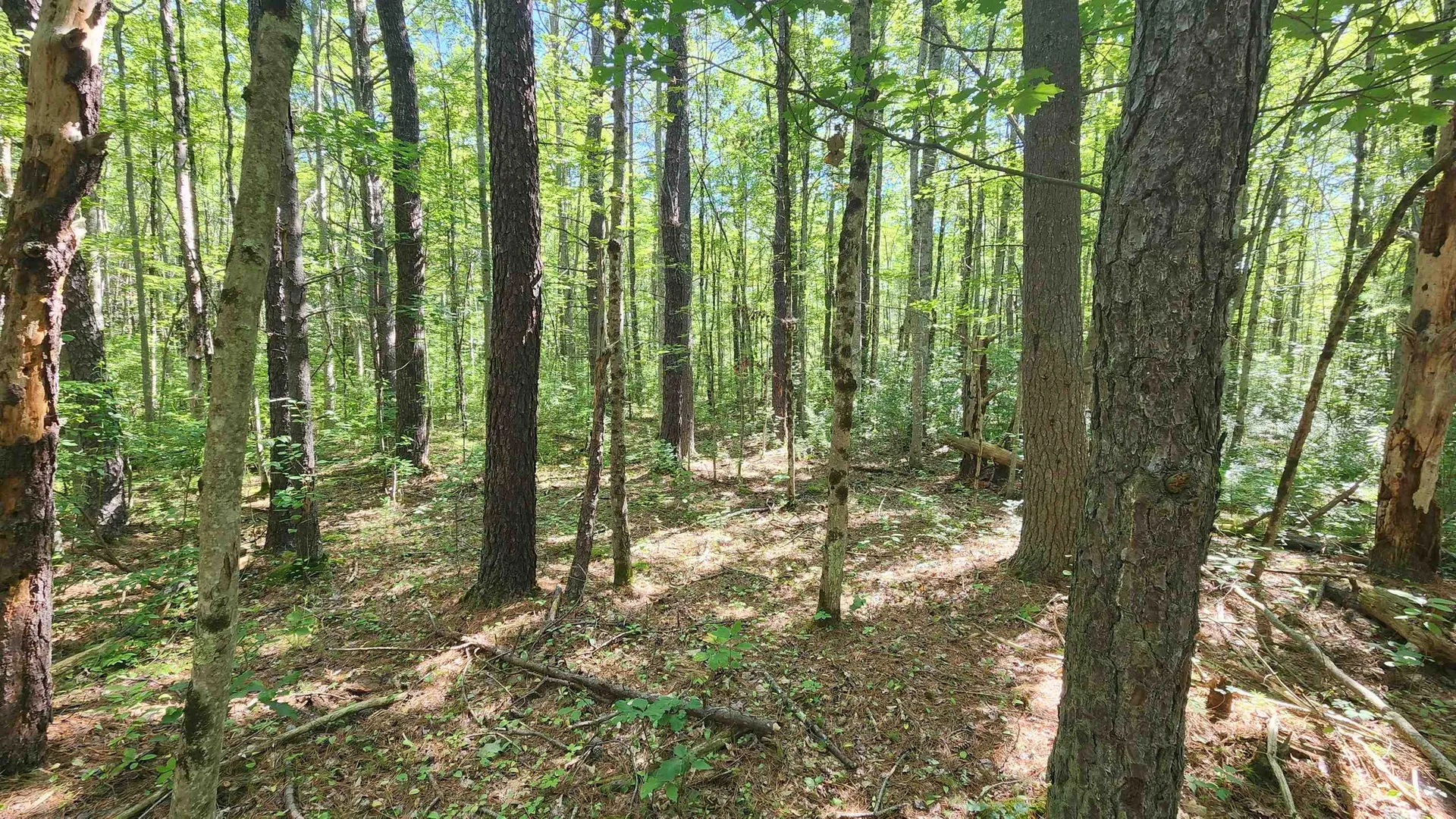 29 Gary Lane Exeter NH 03833