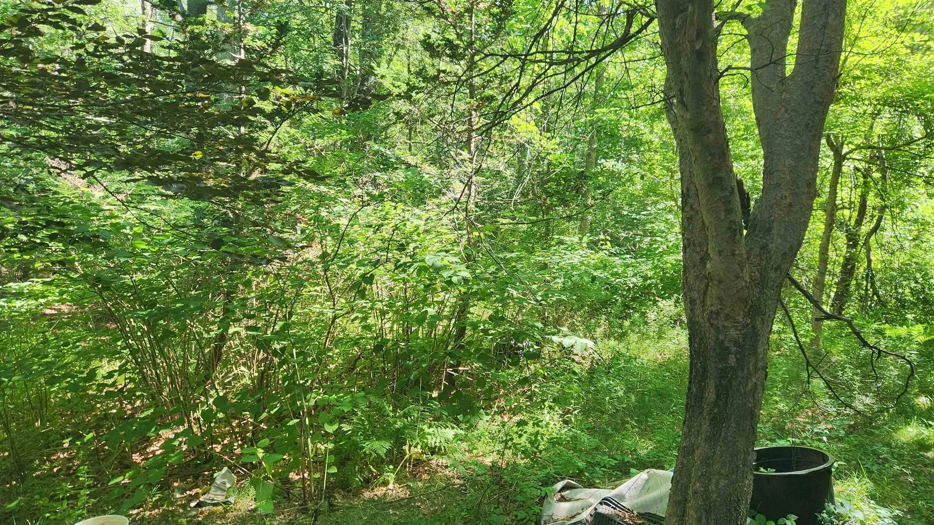 29 Gary Lane Exeter NH 03833