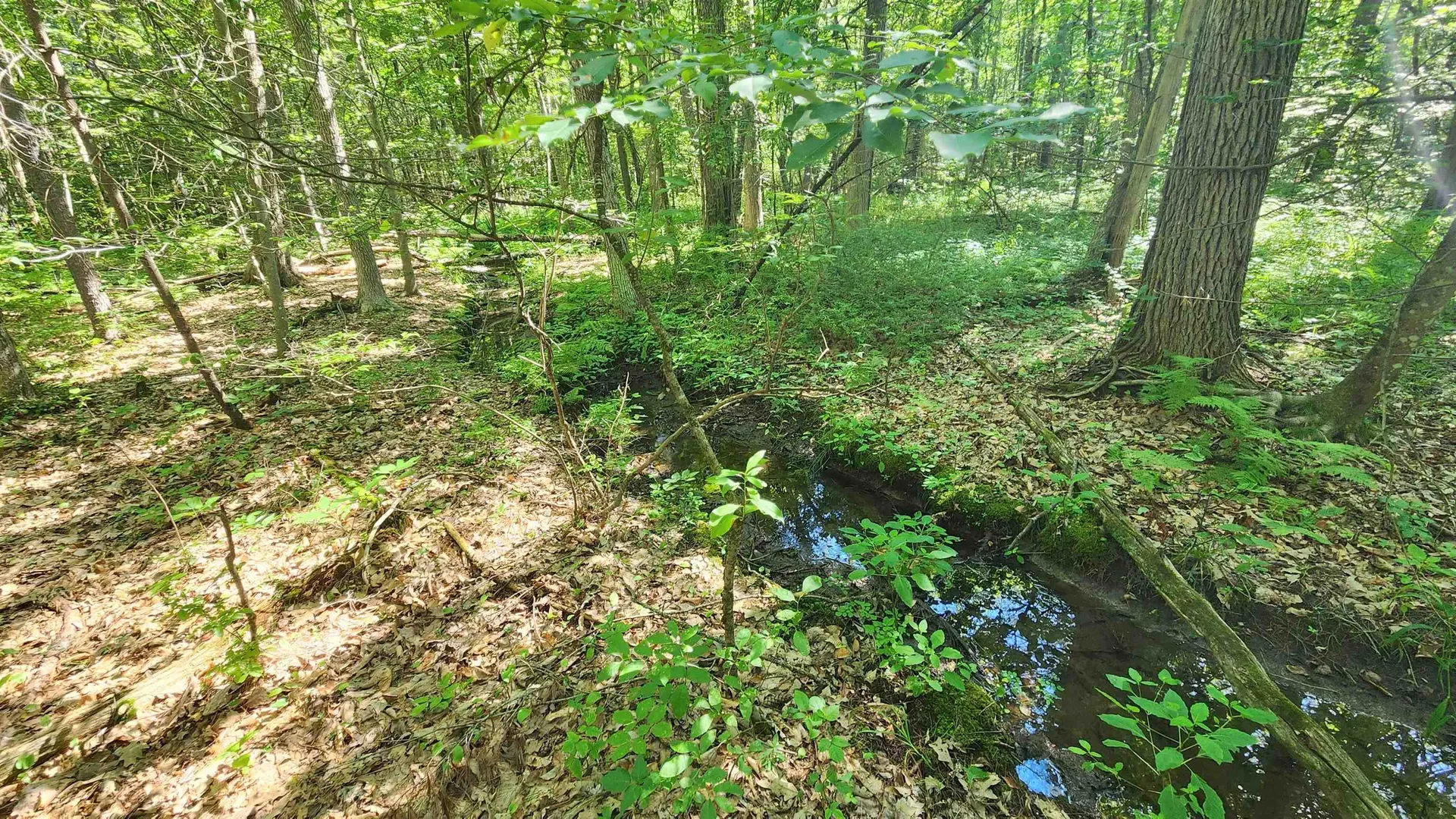 29 Gary Lane Exeter NH 03833