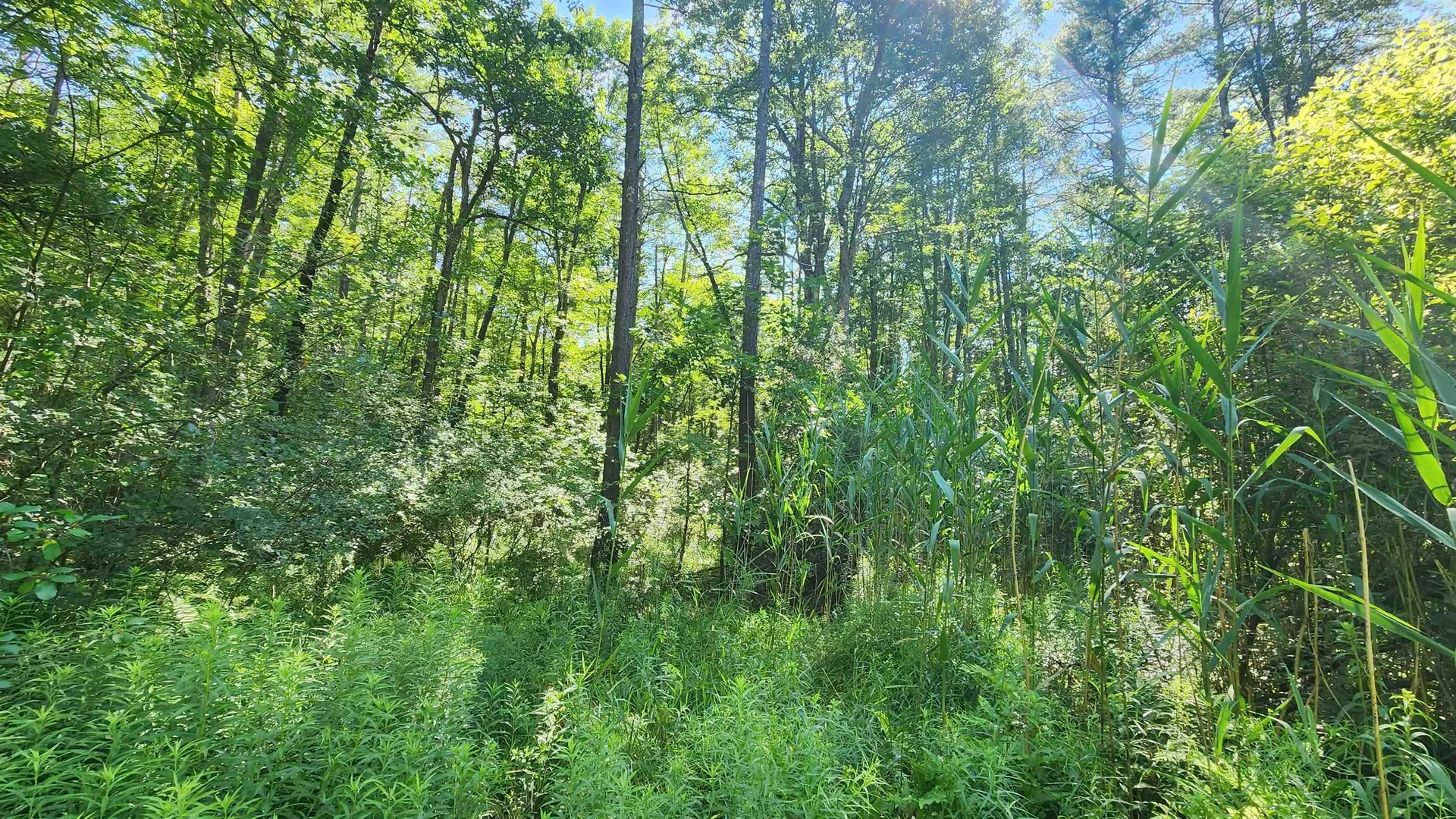 29 Gary Lane Exeter NH 03833