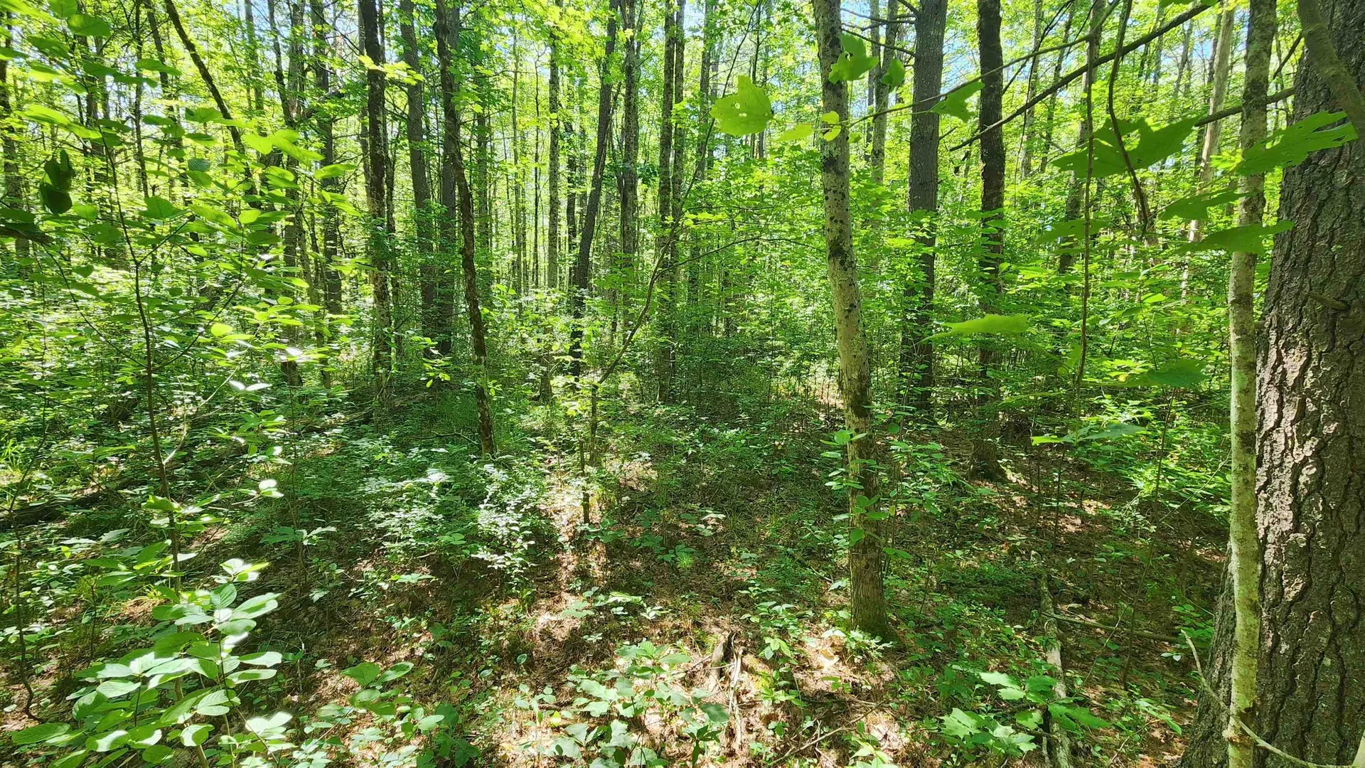 29 Gary Lane Exeter NH 03833